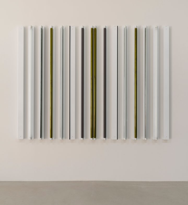 Robert Irwin - HESITATION - 1