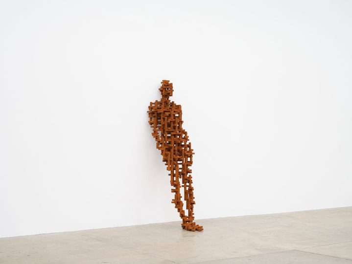 Antony Gormley - Test: Brace - 1