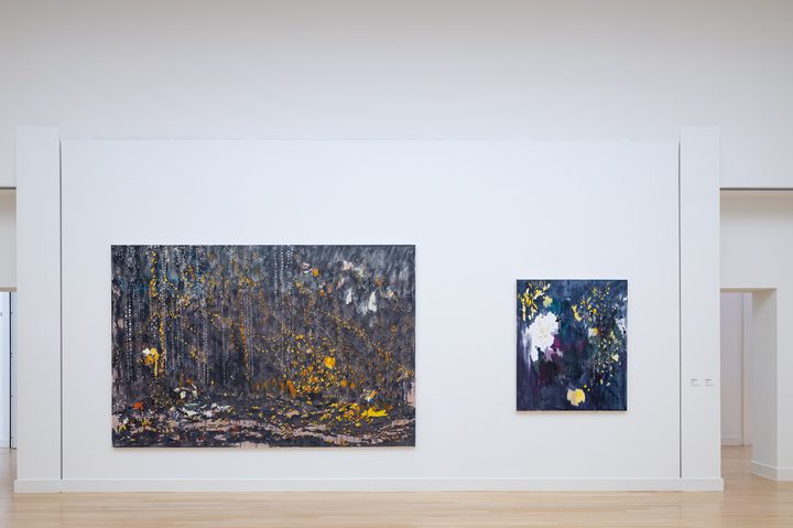 Marina Rheingantz - 'Brave New World - 16 Painters for the 21st Century', Museum de Fundatie, Zwolle, Netherlands - 1