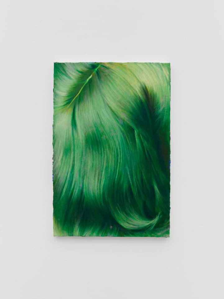 Louise Giovanelli - Latebrae - 1