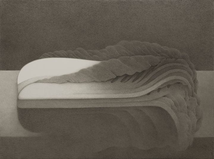 Shao Fan - Chinese Cabbage - 1